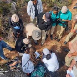 CapeNature field staff receiving training in how to set up cameras